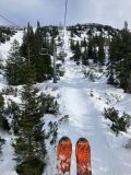 IMG-20250311-WA0005