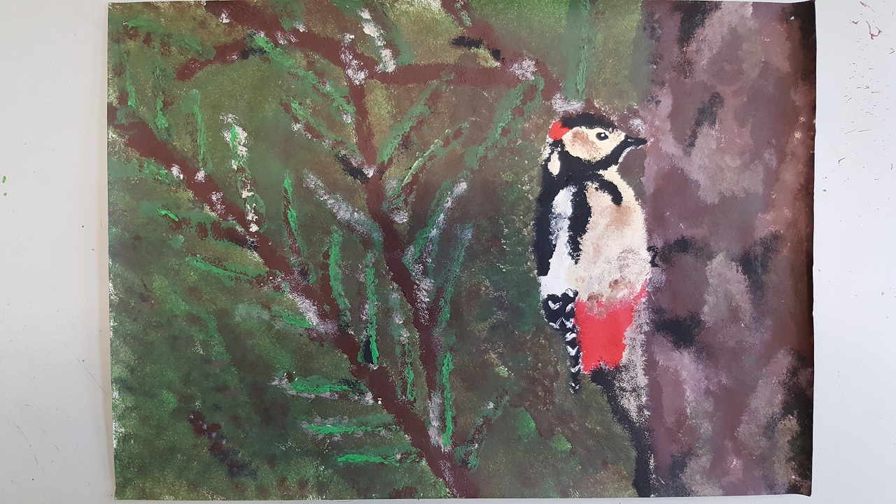 Waldfest_Buntspecht_Defant_4a
